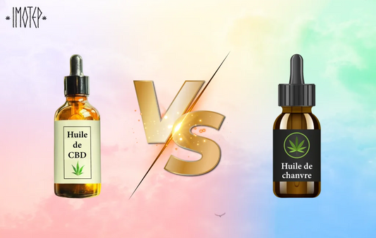 Avantages pour la santé de l’huile de CBD et de l’huile de graines de chanvre