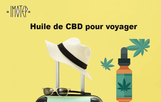 Comment Incorporer l'Huile de CBD dans Votre Routine de Voyage pour Plus de Calme
