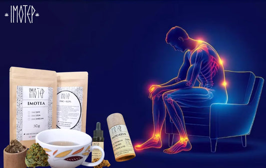 Comment choisir la meilleure forme de CBD pour la douleur