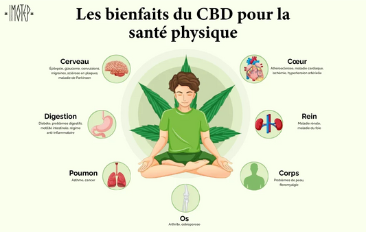 Explorer les effets thérapeutiques potentiels du CBD