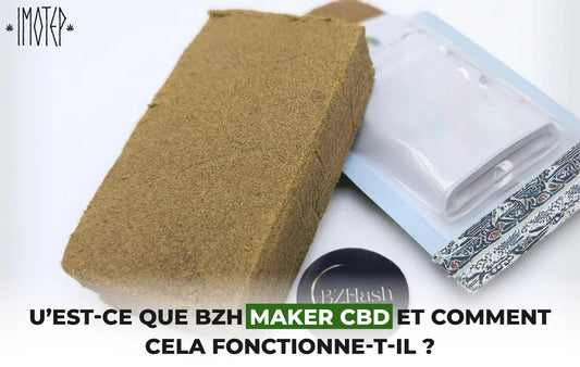 Qu’est-ce que BZH Maker CBD et comment cela fonctionne-t-il ?