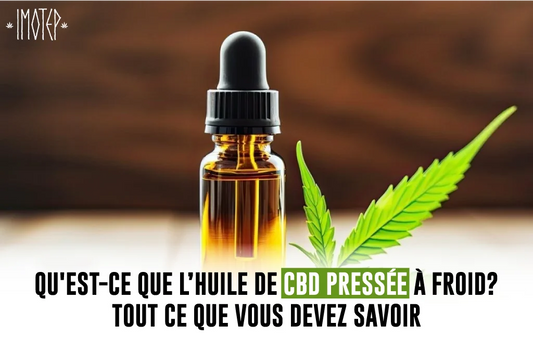 Qu'est-ce que l'huile de CBD pressée à froid Tout ce que vous devez savoir