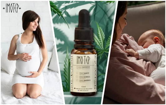 CBD et grossesse Ce que vous devez savoir