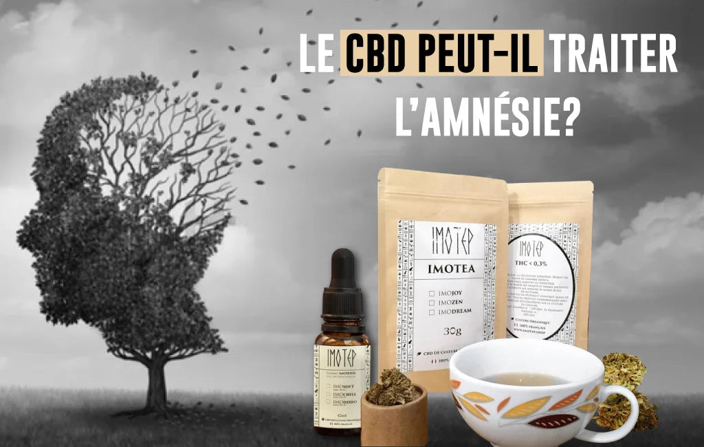Le CBD peut-il traiter l’amnésie ? Explorer son potentiel de récupération de mémoire