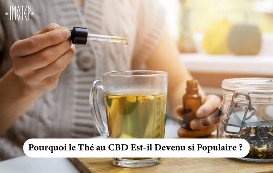 Pourquoi le Thé au CBD Est-il Devenu si Populaire ? Découvrez Ses Vertus