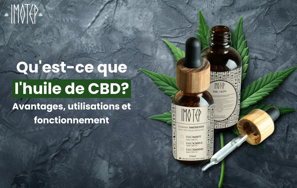 Qu'est-ce que l'huile de CBD 10 % ? Avantages, Utilisations et Fonctionnement