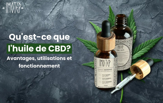 Qu'est-ce que l'huile de CBD 10 % ? Avantages, Utilisations et Fonctionnement