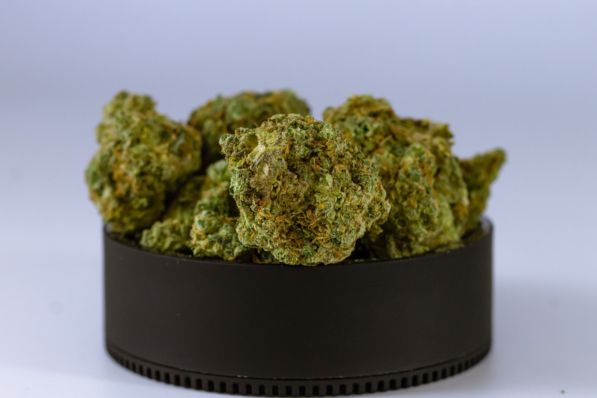 Fleurs CBD - IMOGelato